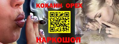 крисы Будённовск