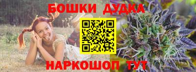 крисы Будённовск