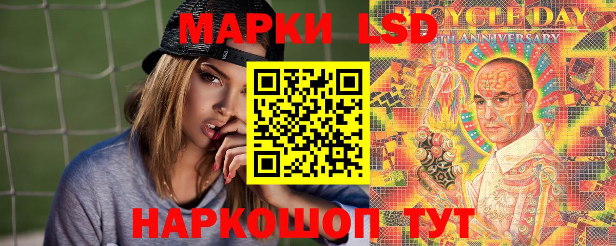 Альфа ПВП Кудрово
